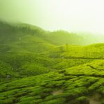 featured-image-4
