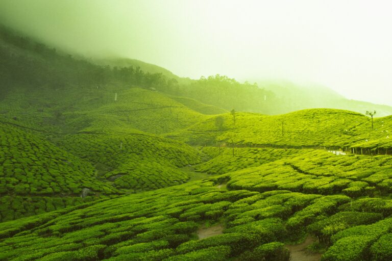 Hello World Featured Image