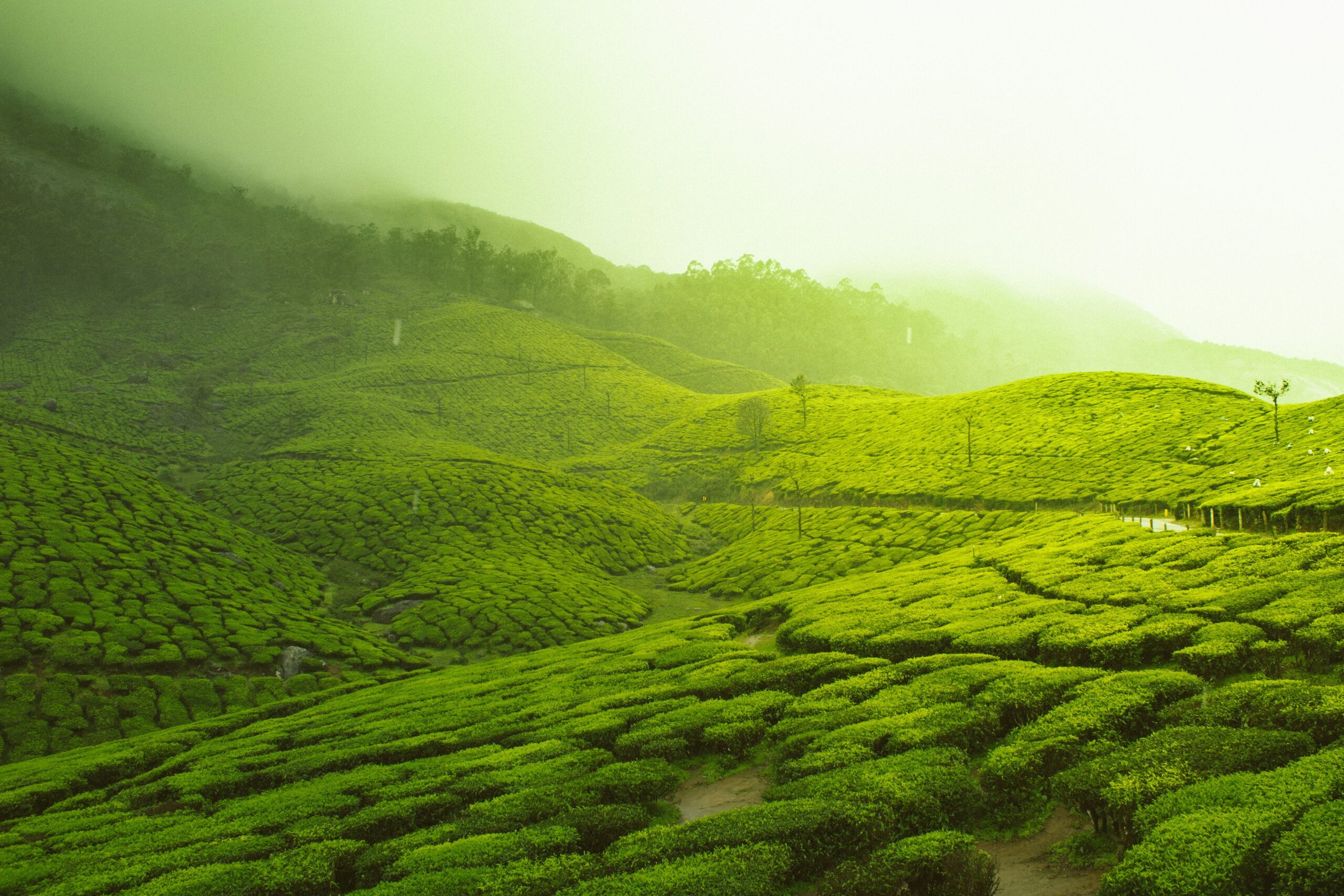 Hello World Featured Image