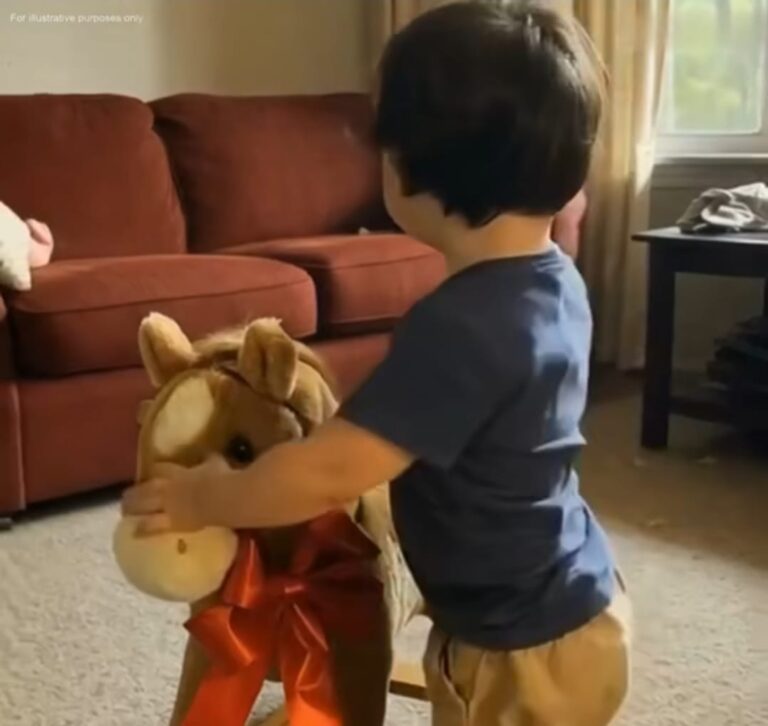 7b2dbc02-9898-4070-89ee-c9ba150f6cf4