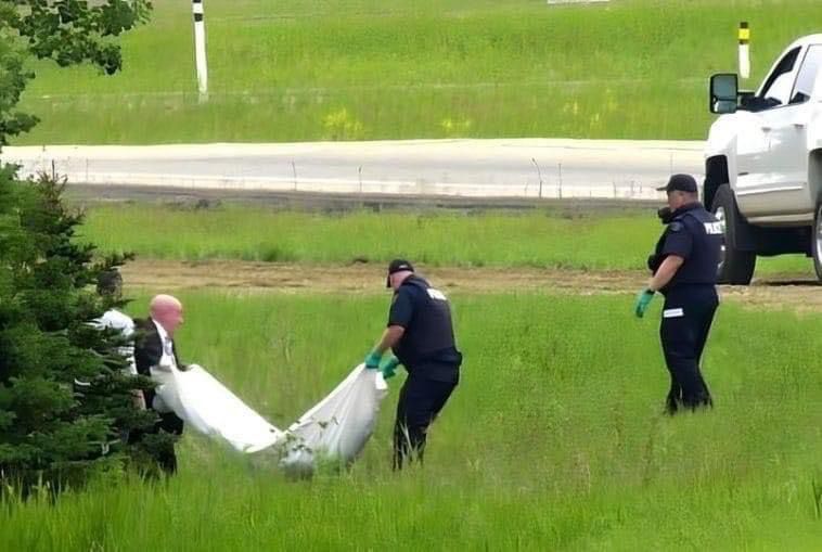 99b85209-b461-4d73-a171-ae60c9ce3c44