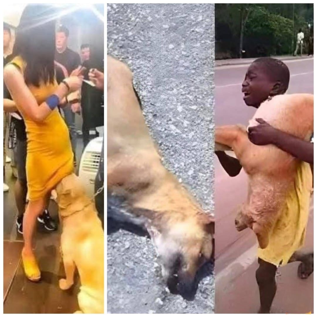 a36146bd-823a-4250-b2c5-64ed36b3b33d